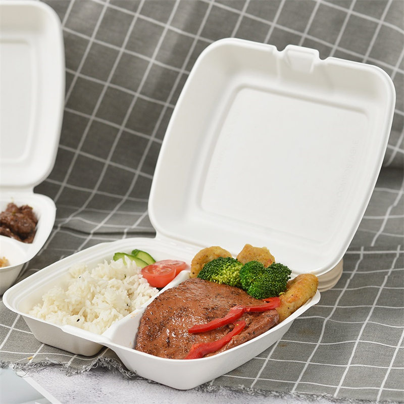 Bagasse 9 ইঞ্চি 2 কম্পার্টমেন্ট টেকওয়ে বক্স